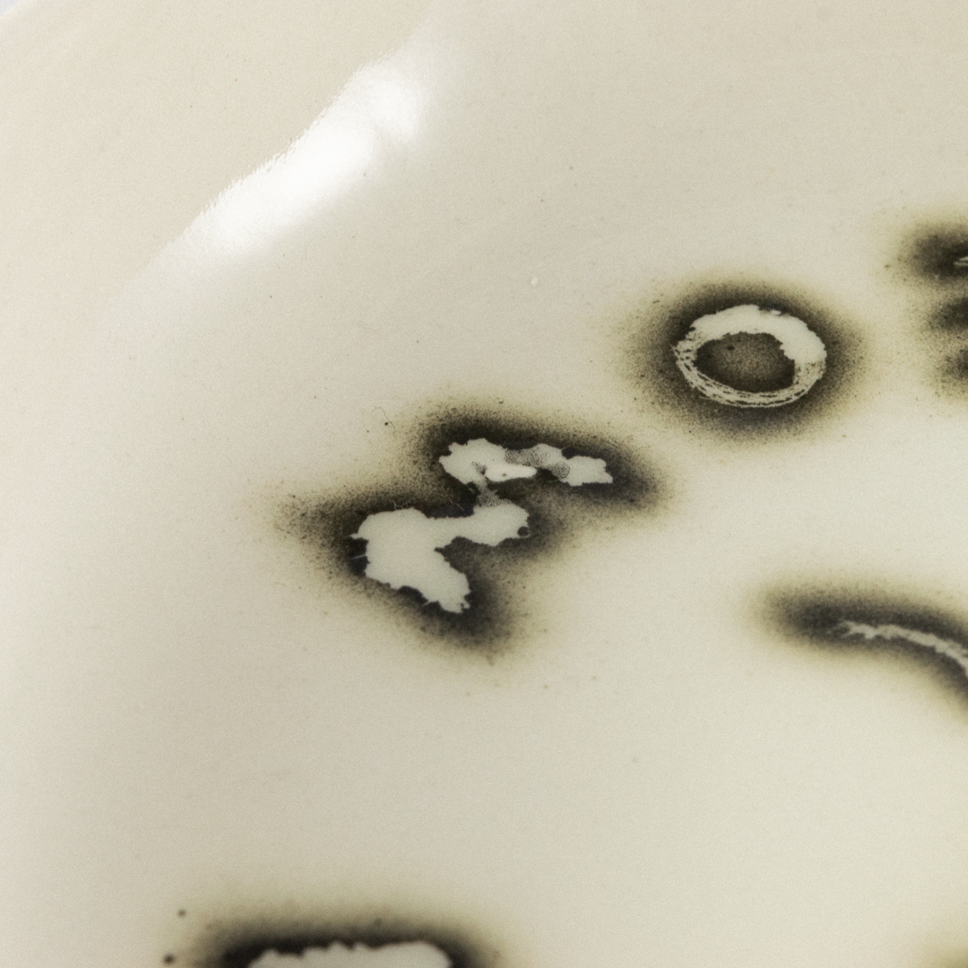 Dinner Bowl - Meow Meow Meow